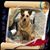 Pam Shields- Lyon's profile image