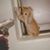 Sar Richards's profile image