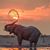 Leslie Connor's profile image
