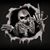 Krloz Echvrria's profile image
