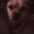 Andrew Fabela's profile image