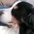 Denise Litaker's profile image