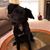 Michelle Lynn Johnson Love's profile image