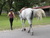 Lori A.'s profile image