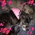 Wendy Flanagan's profile image