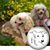 Denise Gayhart-Cope's profile image
