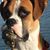 Ginger Root's profile image