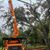 Western Tree Care's profile image
