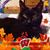 Laurie Callier's profile image