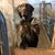 Jill Muterspaugh Byrd's profile image