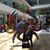 Dalice Florisi's profile image