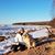 Julie Stangl's profile image