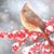 Terri Balady Anderson's profile image