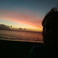 Nannette Collie Miotto's profile image