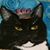 Daisy Mae Maus's profile image