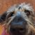 BettyAnn T. Miciano-Chavez's profile image