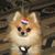 Debra Bouffard's profile image