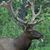 Mike Loos's profile image