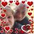 Shelli Pearson Bedell's profile image