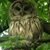 Denise Audley's profile image