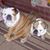 Linda Hagen's profile image