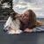 Jessie Jean's profile image