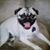 Bonnie Vicars Roper's profile image