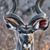 Larry Beerer's profile image