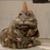 Ian Stewart's profile image