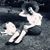 Eleanor Baader's profile image