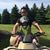 Steve Nowik's profile image