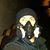 Nathan Farley's profile image