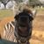 Ruth Camp Heck's profile image