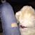 Missy Sally's profile image