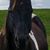 Christina Eriksen's profile image