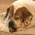 Brandi MacLeod Edwards's profile image