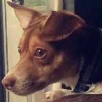 Mary L.'s profile image