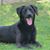 Tina Page's profile image
