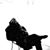 Dominic Colone III's profile image