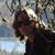 Julie Jones's profile image