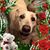 Deidre Martinez's profile image