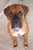 Emily B.'s profile image