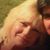 Lori Burgo Ramirez's profile image