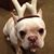 Tami Swenson's profile image