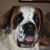 Nancy Shuster's profile image