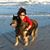 Patti Merrill's profile image