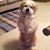 Cheryl Holmstrom's profile image