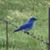 Harriet Stratton's profile image