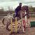 Sandra Clemens's profile image