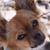 Stephanie Vangelis Gibbs's profile image
